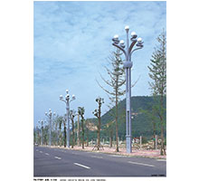 特色LED景觀道路燈